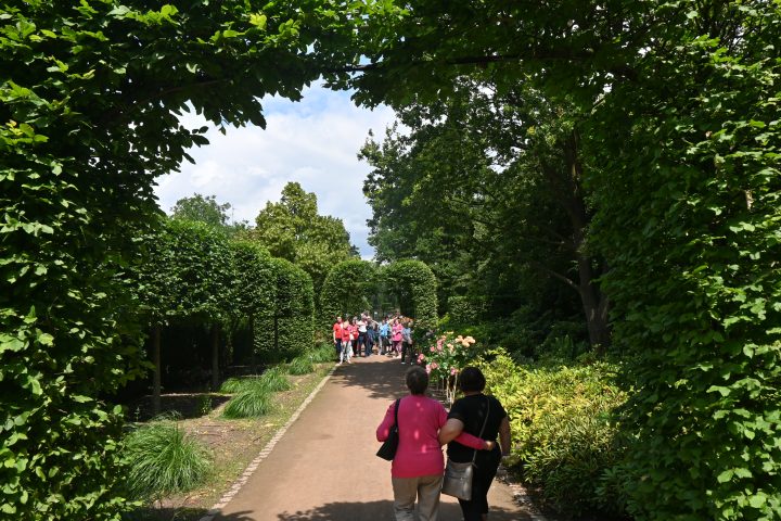 Wycieczka do Afloparku