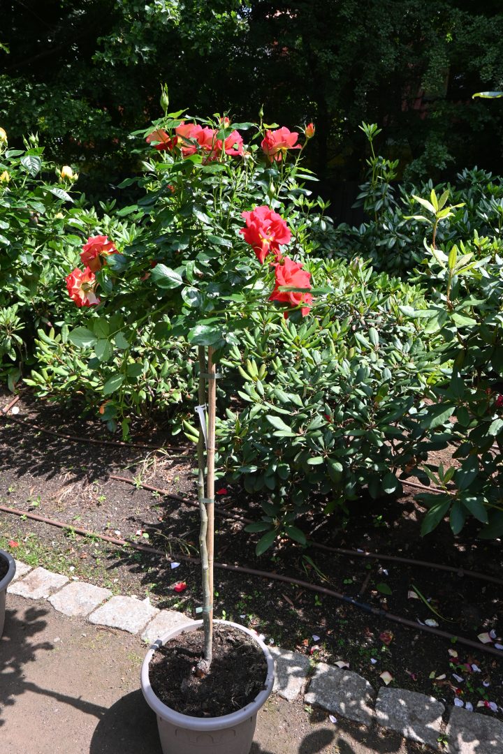 Wycieczka do Afloparku