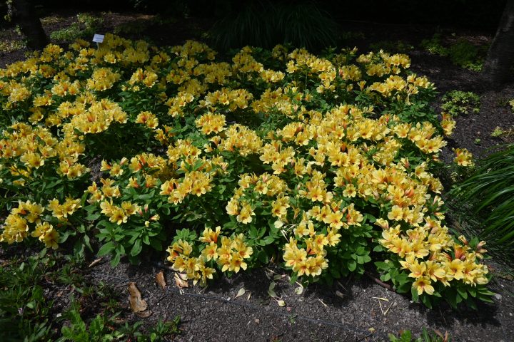 Wycieczka do Afloparku