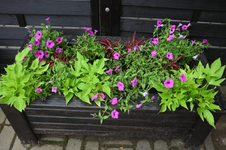 Wycieczka do Afloparku