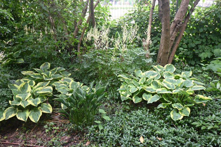 Wycieczka do Afloparku