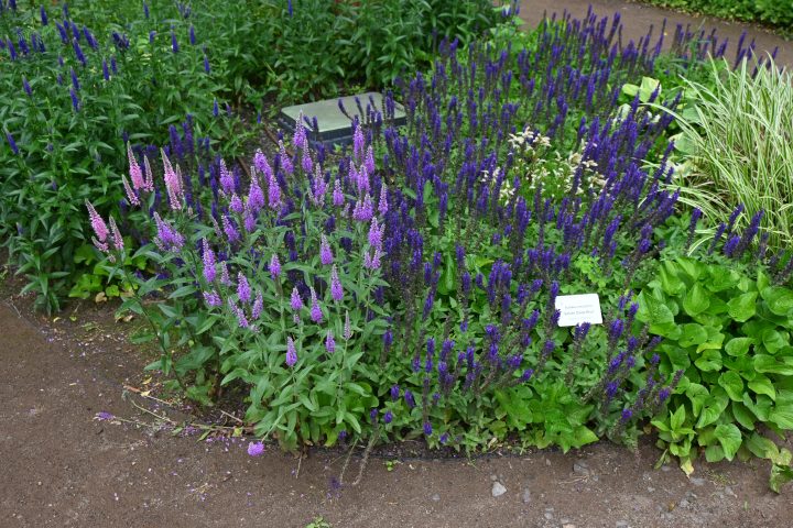 Wycieczka do Afloparku