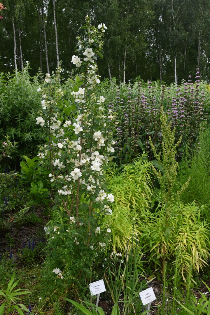 Wycieczka do Afloparku